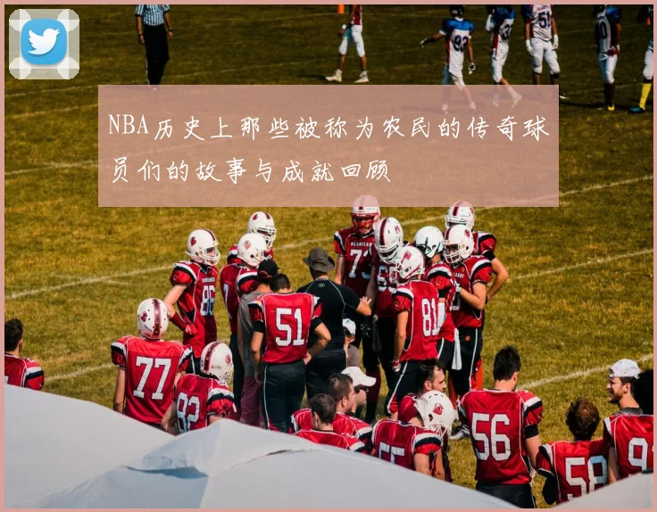 NBA历史上那些被称为农民的传奇球员们的故事与成就回顾